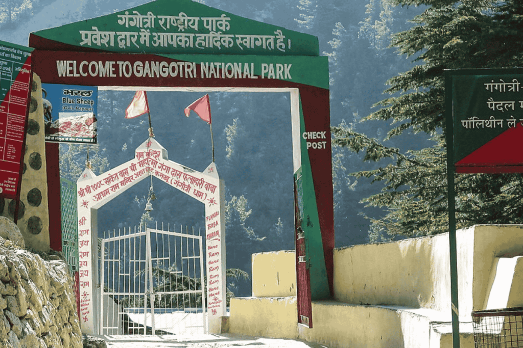 Gangotri National Park