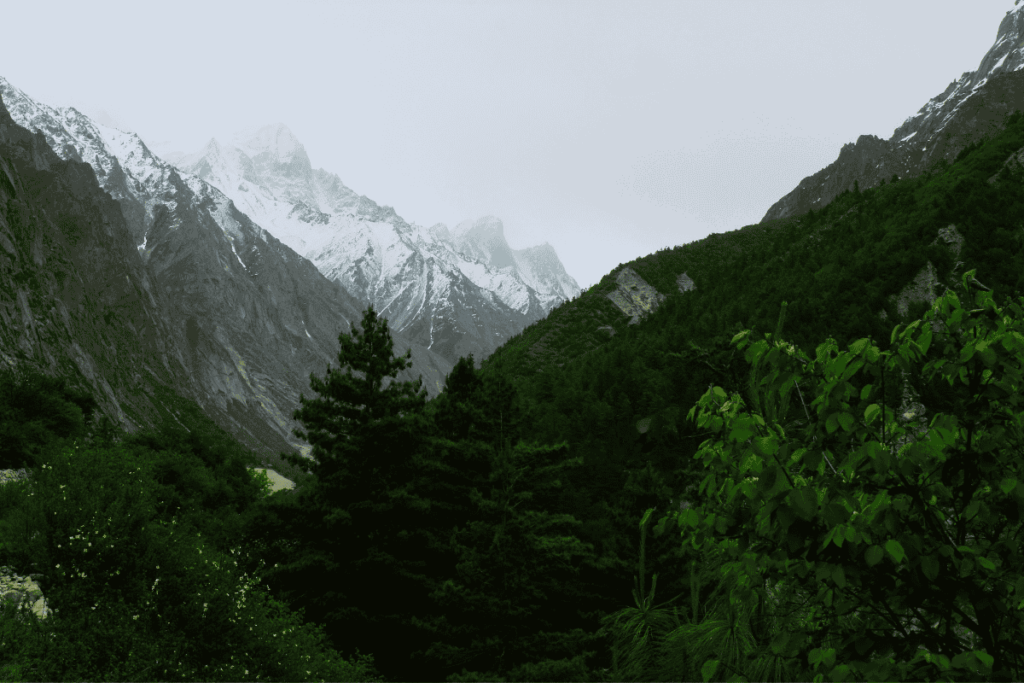 mountains view from Gangotri-Gaumukh trek