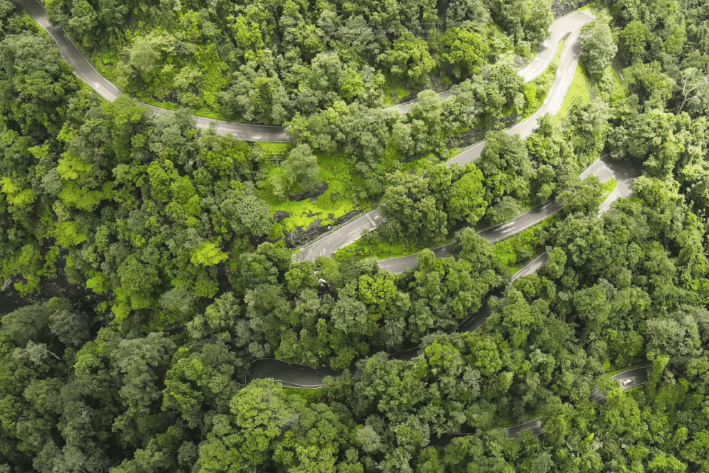 Agumbe Ghat Top View