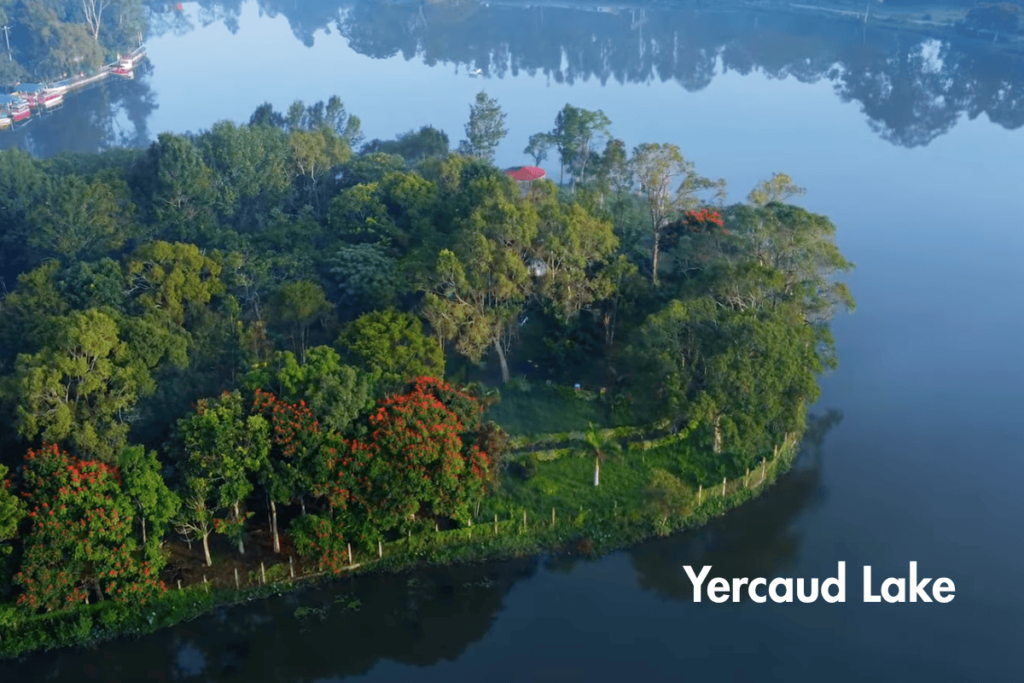 Yercaud Lake