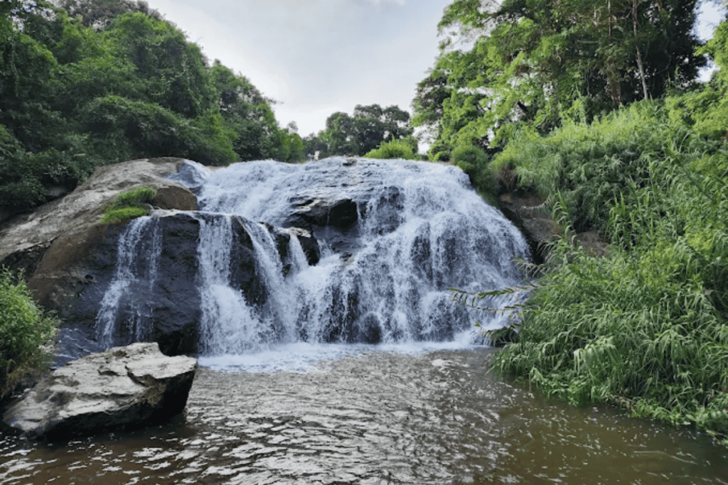 catherine falls kotagiri