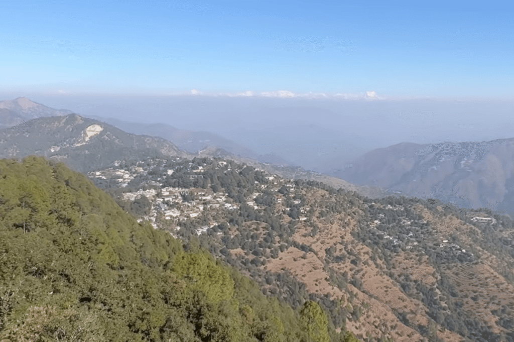 Tip N Top Viewpoint