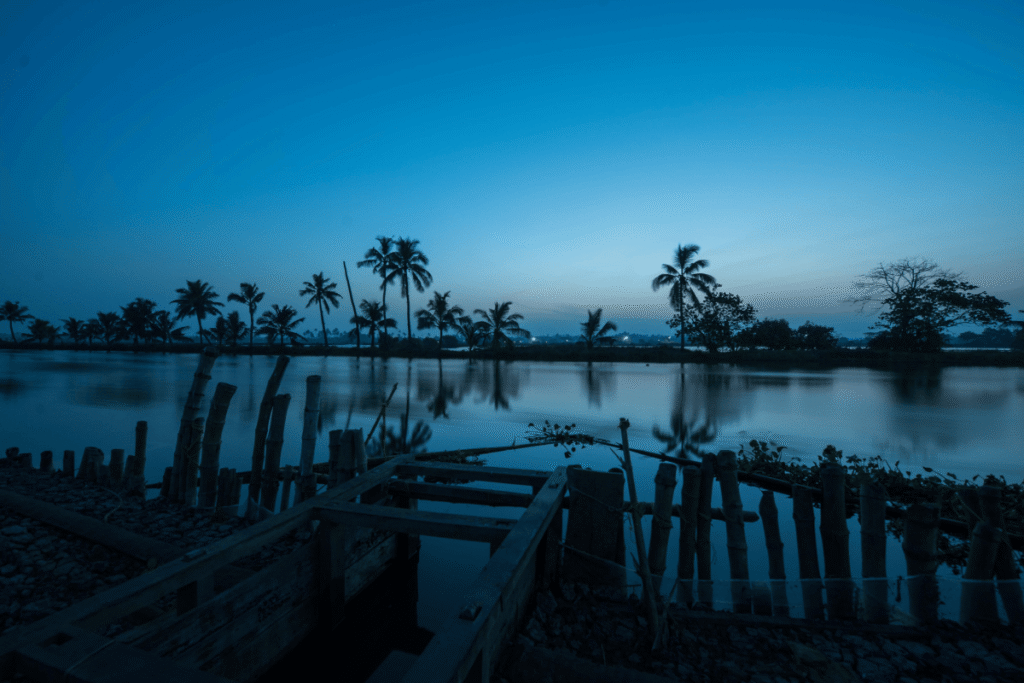 Kadamakudy Scenic Backwaters