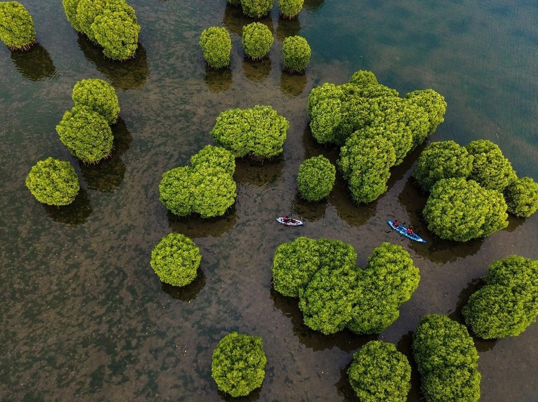 Kavvayi Island, Kerala