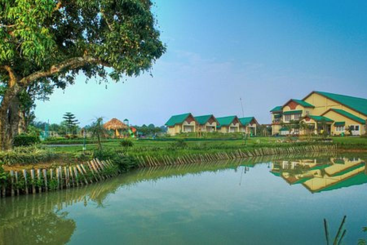 Tinsukia Assam: An Introduction to the Beauty and Culture of Assam