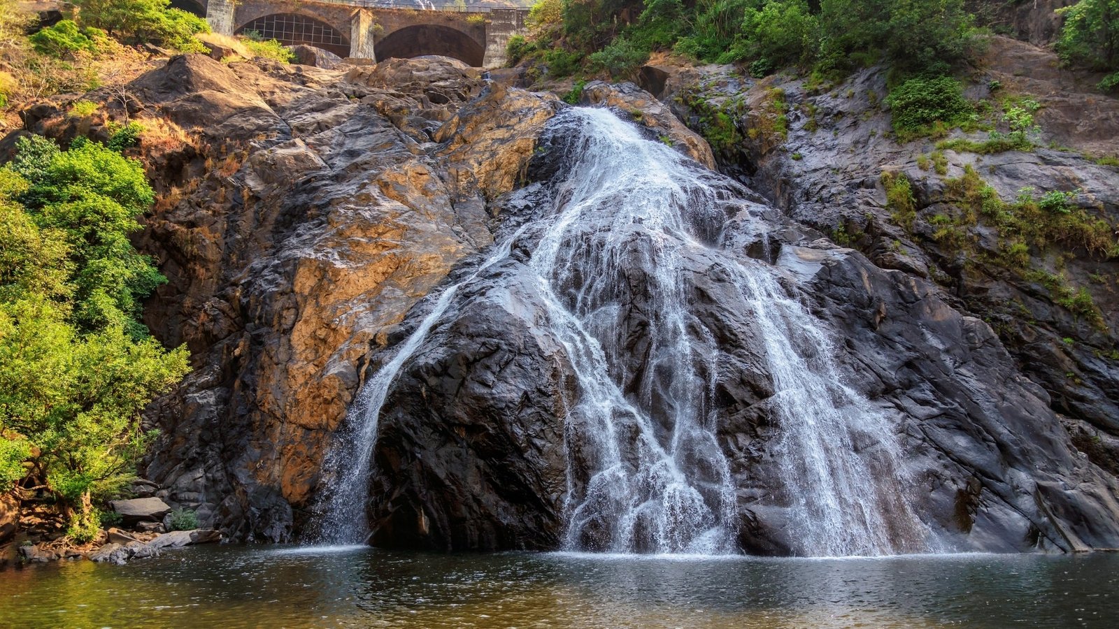 Dudhsagar Trek : Everything You Need to Know Before You Go