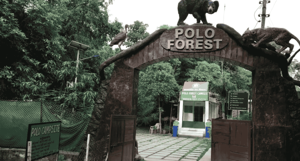 Polo Forest, Vijaynagar