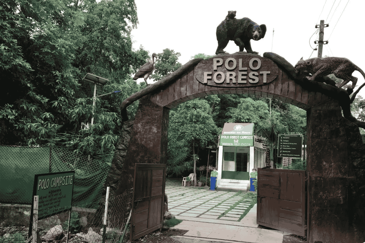 Polo Forest, Vijaynagar: A Hidden Gem in Gujarat