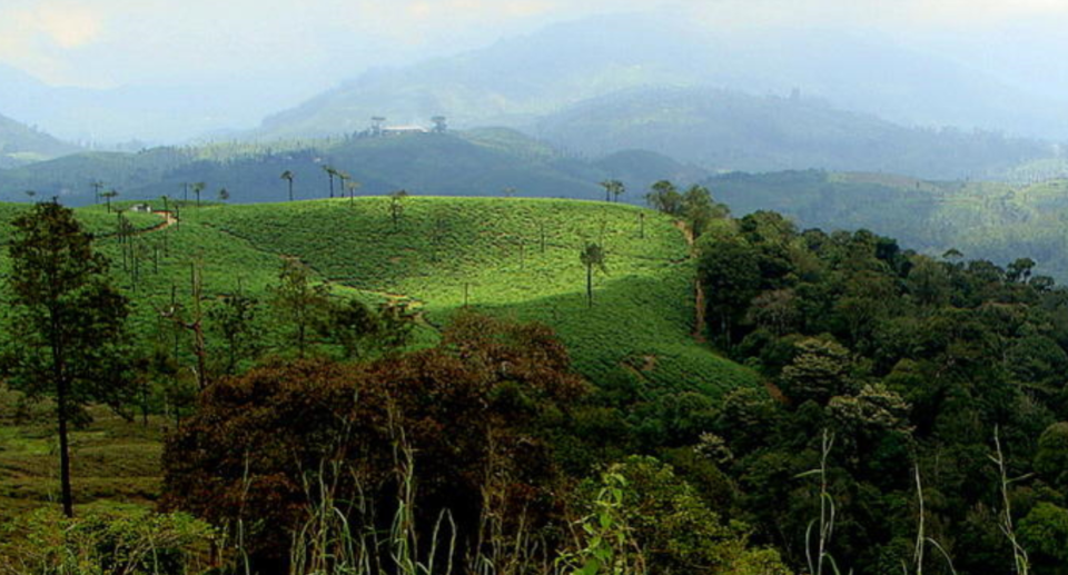 Hidden Beauty of Valparai