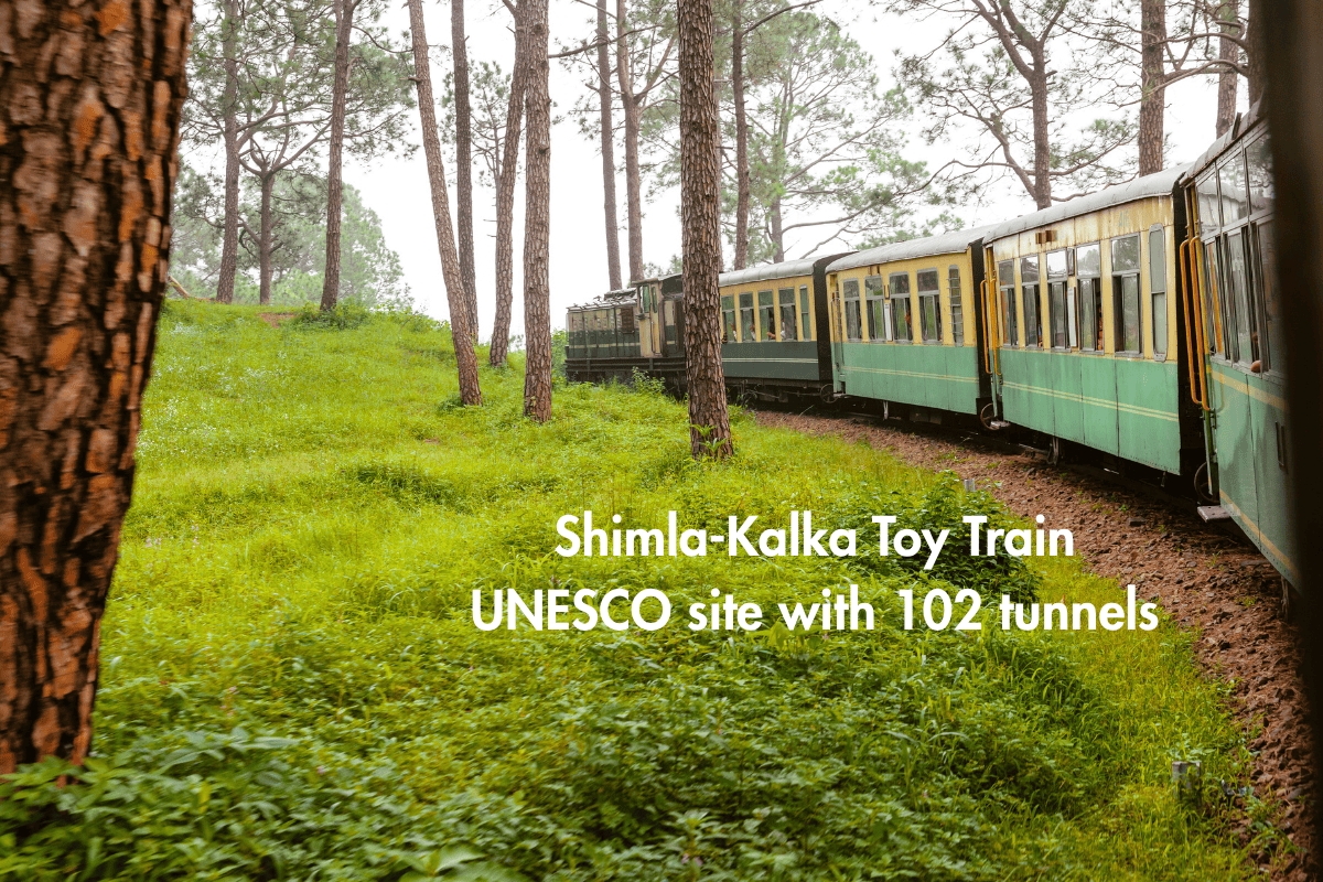 Shimla-Kalka Toy Train – A Journey Through the Hills You’ll Never Forget