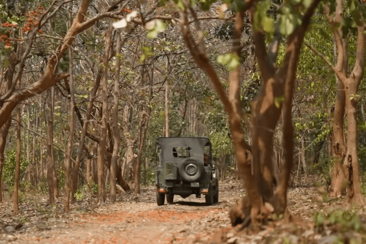 Jambughoda Wildlife Sanctuary: Eco-Tourism, Forest Stay, Animals, and Travel Guide