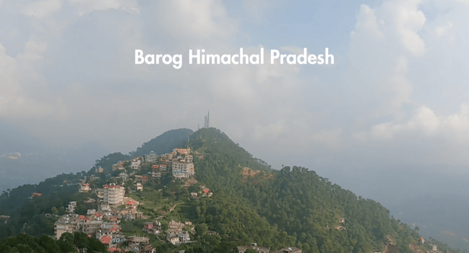 Barog Himachal Pradesh: A Peaceful Hill Station You Must Explore