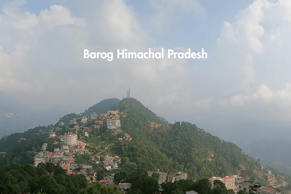 Barog Himachal Pradesh: A Peaceful Hill Station You Must Explore